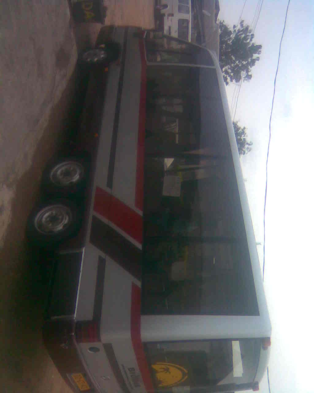 The bus 01